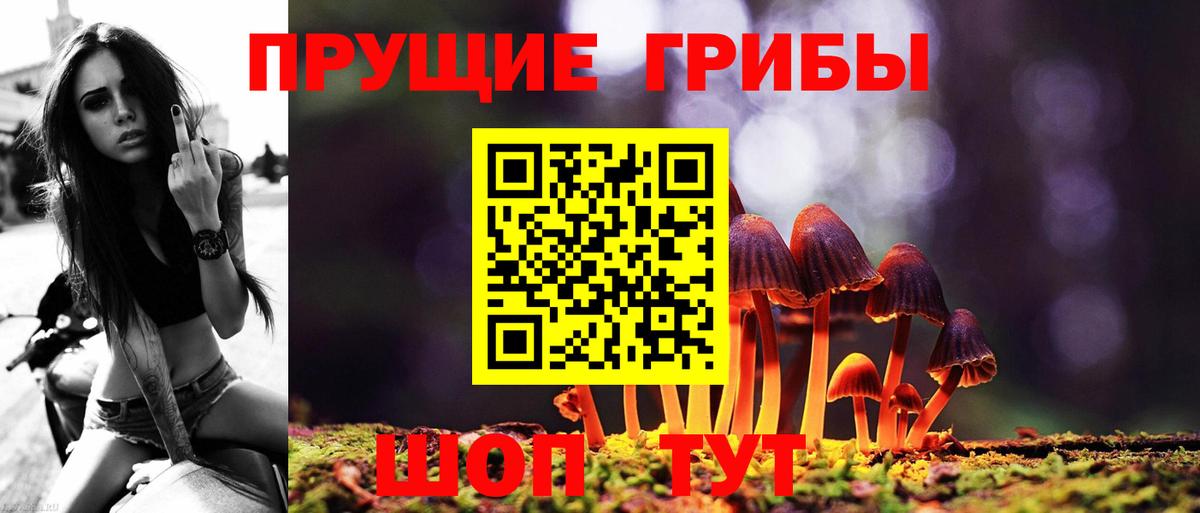 Октябрьский  Галлюциногенные грибы Psilocybe  Вход с VPN 