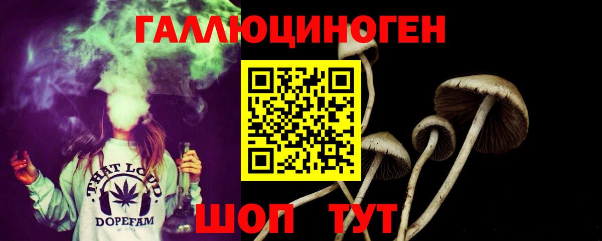 Галлюциногенные грибы Psilocybe Октябрьский